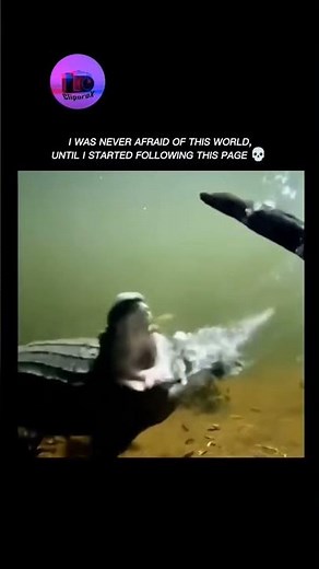Crocodile vs Eel | I WAS NEVER AFRAID OF THIS WORLD, UNTIL I STARTED FOLLOWING THIS PAGE💀#shortsfeed