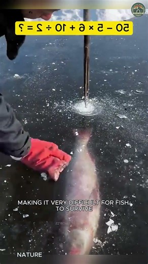 Why This Man Is Pumping Air Into Ice 😱 #Shorts #NatureFacts #Winter