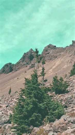 Three Finger Jack along the PCT! #hiking #explore #nature#oregon#outdoors