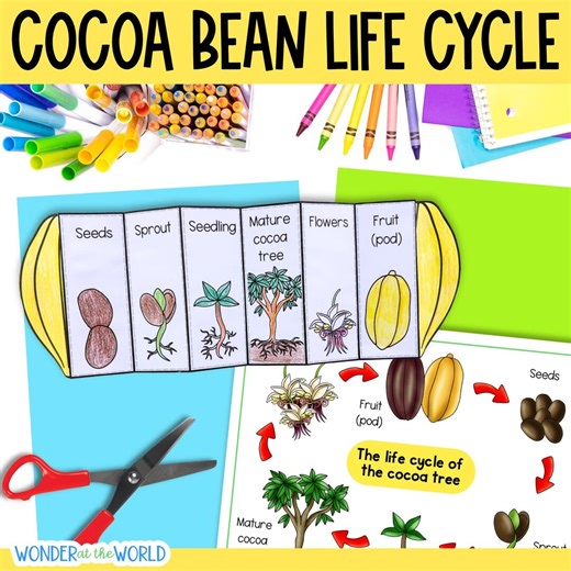 Life Cycle of a Cocoa Bean Tree Fold and Sequence Science Craft Activity and Printables Digital Download PDF - Etsy