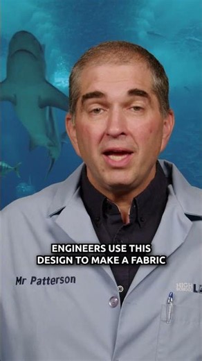 Sharkskin Points to a Creator