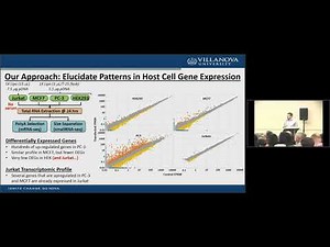 Investigating the Relationship between the Host Cell Transcriptome and Transfection Efficiency