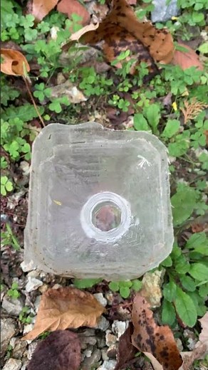 ペットボトルの罠を手作りして裏庭に仕掛けましたが一向に捕獲できそうもないので霧吹きを連射するとこうなります