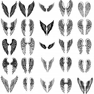 25 Angel Wings Bundle | Fantasy Clipart Transparent Background - Etsy