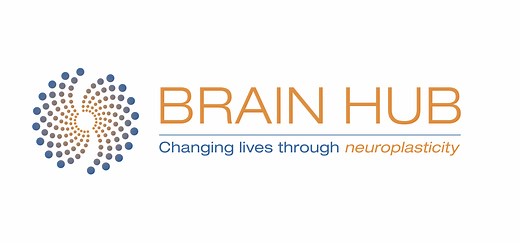 Red & Near Infrared Light Therapy Cap - Brain Hub