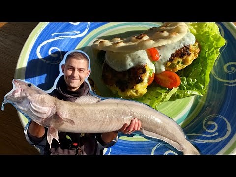 Ling Catch and Cook - How to Fillet Ling - Ling Kofta and Ling Korma | The Fish Locker