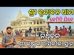 Vrindavan Dham Yatra | Vrindavan Tourist Places | Nidhivan Vrindavan | Mathura Vrindavan Tour Odia.