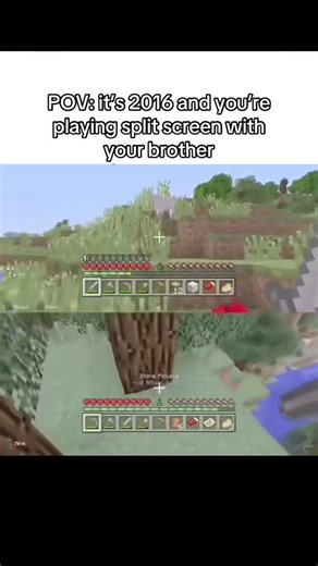 Minecraft split screen 💔 #shorts
