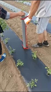 29K views · 148 reactions | Crop planter | Denraks Machinery | Facebook