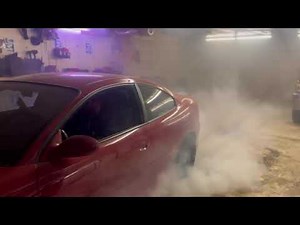 Cammed gto garage burnout