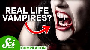 Vampires could be real and here's why
