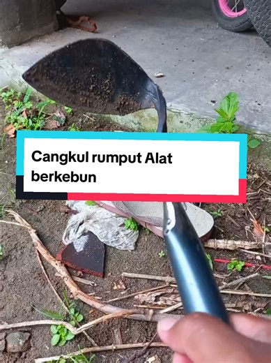 cangkul rumput serbaguna anti copot #cangkulrumput #cangkulmini #alatberkebun