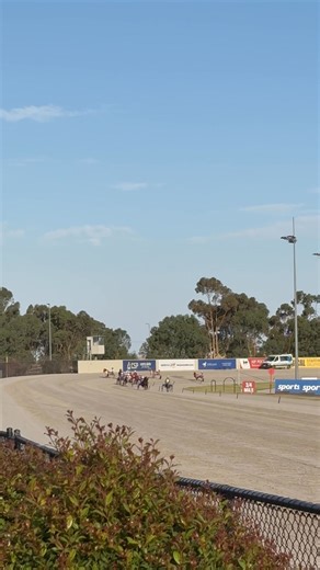 The final was very hotly contested by all drivers! Results of the Hygain Pony Trots Hunter Cup 🌟 🏆Freaky Fran driven by Katie Thomson 🥈Minnie driven by Madeline Welch 🥉Burnaholeinmybucket driven by Amelia Hodgson Pony Trots Victoria is proudly sponsored by Hygain Melton Harness Racing Harness Racing Victoria | Pony Trots Victoria