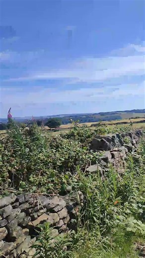 Katie Hall on TikTok