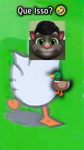 OLHA O TOM GENTE! 🤣🦆