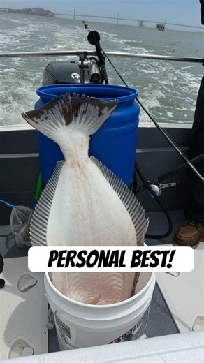 He caught is PB Halibut - 37 Inches! 🔥