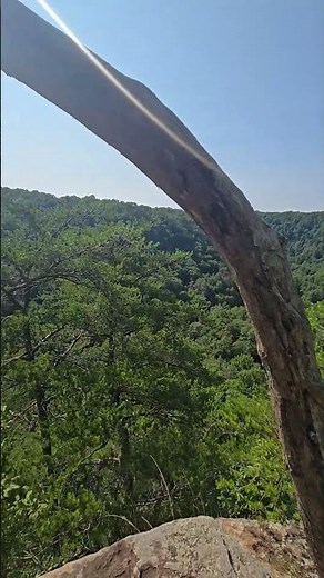 Secret Overlook at Fall Creek Falls in Tennessee. #hiking #travel #heytheredelilah #camping #fyp