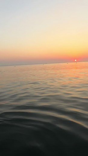 Phil Collins - Another Day in Paradise (Official Music Video)