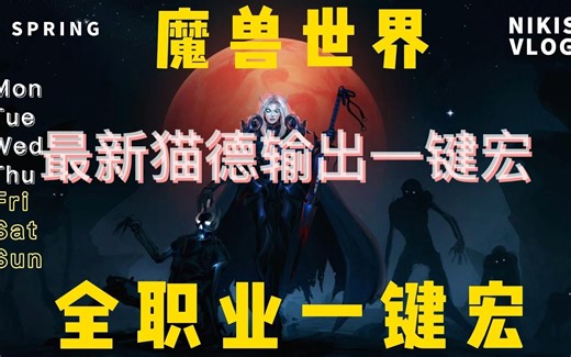 魔兽世界WLK亚服最新猫德输出循环教学 一键宏AHK 实现全自动输出 完美单体 wcl冲榜专用~