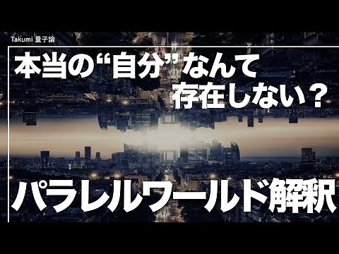 This whole world is a parallel world created by quantum mechanics | Everett's many-worlds interpr...