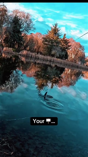 Experience Winter Steelhead Fishing Adventures