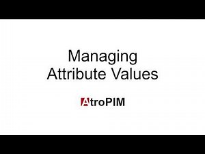 Managing Attribute Values