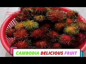 CAMBODIA OR KHMER FRUIT - SOUT MOUT FRUIT -ផ្លែសៅម៉ៅ