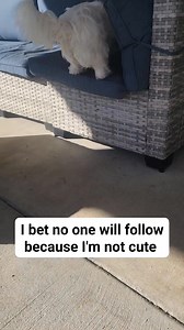 Hi Cooper | Life of Cooper