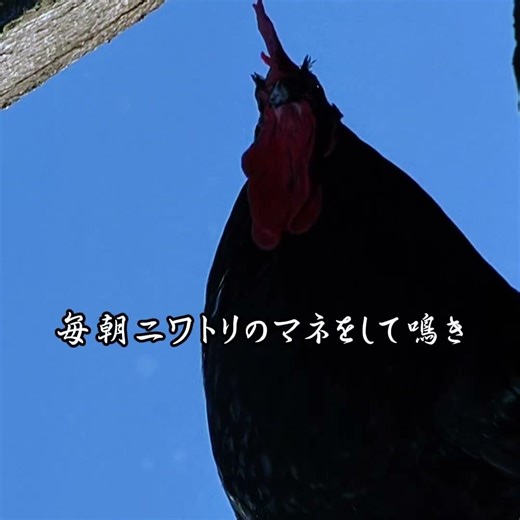 #映画紹介 #奇妙な事件 #movie #fyp