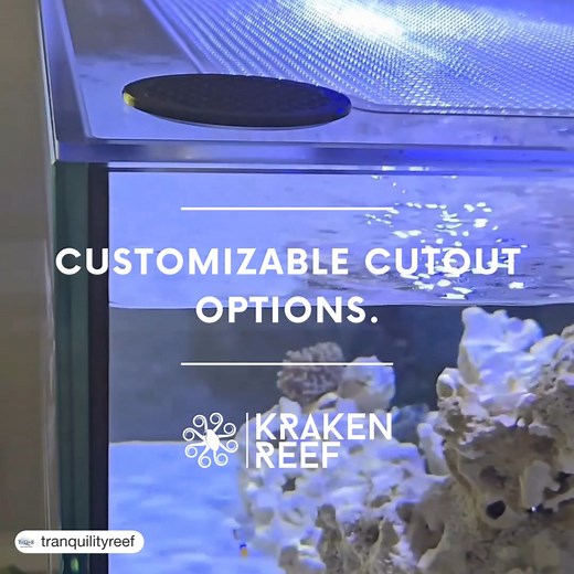 Kraken Reef® manufactures exceptional quality aquarium lids and accessories that keep your tank inhabitants safe. 🐙 | Kraken Reef
