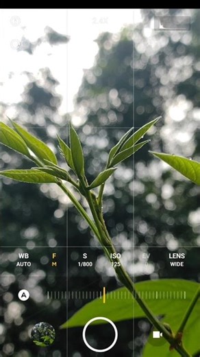 Mobile Photography Tricks 🔥 | #mobilephotography #capcutedit