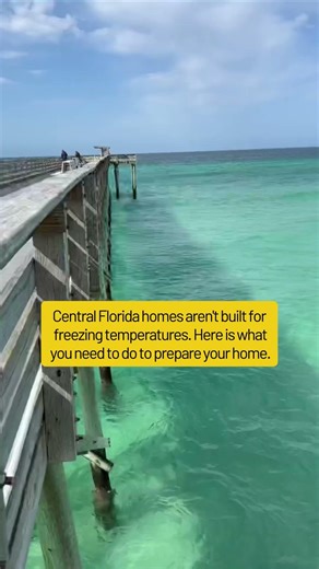 Freezing temperatures in Central Florida? #shorts