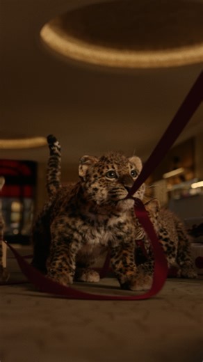 William Laban | NEW WORK 🐯x5🎄 Really proud of the work on this spot and what the team accomplished, I know everyone poured a lot of love and grafted to... | Instagram