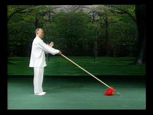 Yang Style Tai Chi spear 13 form, 杨式太极十三枪