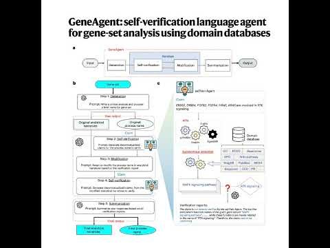 096-GeneAgent | 基因集分析
