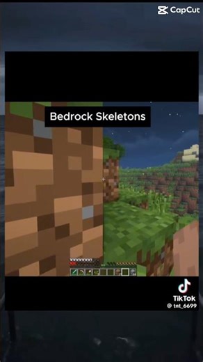 Java vs bedrock ☠️☠️ #memes #minecraftsurvivalseriesepisode1 #funny #minecraft #shorts #viral #fpyシ