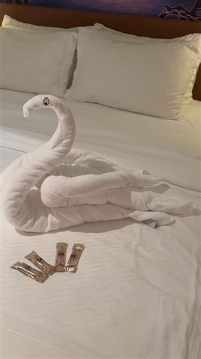 Towel Animals are a work of art! 👏🏼