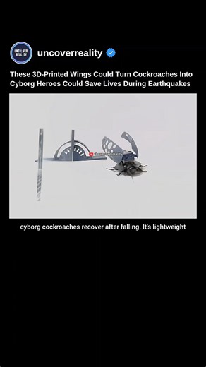 These 3D-Printed Wings Turn Cockroaches Into Cyborg Heroes Could Save Lives During Earthquake #robot