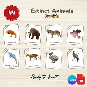 Extinct Animals Flashcards: Montessori 3-part Cards (printable PDF   Canva Link - Etsy