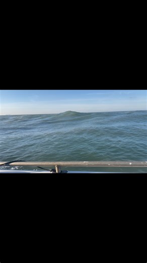 1.1K views · 59 reactions |  Fishing maths  No 1 Take risks, try things, fu*k around, find out, build knowledge, lead the way No 2 Play it safe, Stay in your comfort zone, stagnate, live in the past, fall behind It’s really that simple  #dawntidecharters #bassfishing #lurefishing #seafishing #offshore #boatlife #fishing #maths #part1 #part2 #takerisks #comfort #zone #gamble #fuckaroundfindout #leading #fallingbehind #fyp #viral | DAWN TIDE II Charters | Facebook