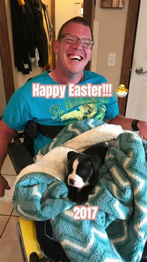 Pittie in 2017 vs. 2019!🤣 #cute #pets #animalshorts