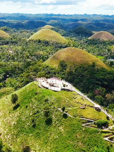 Affordable Bohol Tours and Transfers
