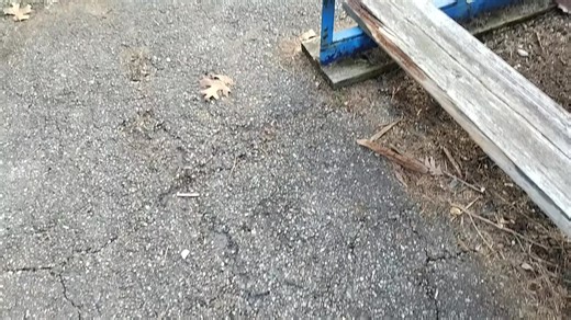 #anger #pain #fyp #depression #reminiscing | anger