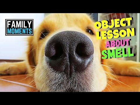 Children's Sermon Bible Lesson - THE AROMA OF CHRIST