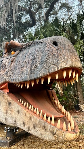 24K views · 243 reactions | Just two more weeks until the opening day of Dinosauria! 練 Get ready to travel back millions of years to experience the thrill of the prehistoric age of dinosaurs. Tickets now available! ➡️ #linkinbio jacksonvillezoo.org/dinosauria | Jacksonville Zoo and Botanical Gardens | Facebook