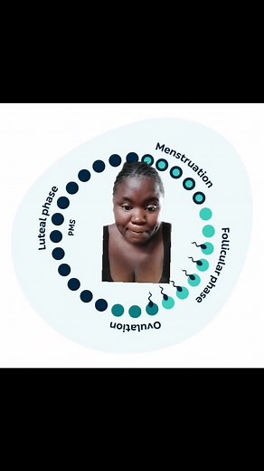 Understanding the Phases of Menstrual Cycle
