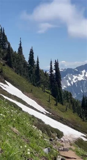雷尼尔雪山的绝美风光与徒步指南