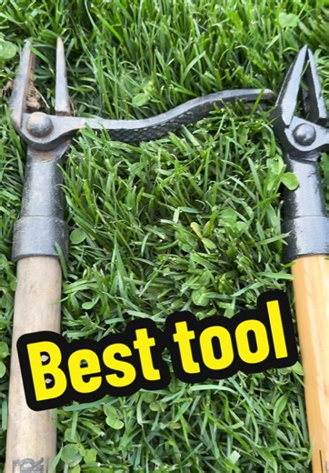 Grandpa Weeder: The Ultimate Stand-Up Weed Puller