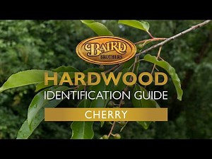 Cherry Hardwood: Uses, Characteristics, and Identification Guide