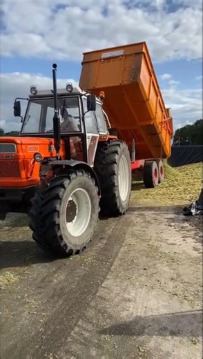 Classic Fiat 1300 DT Scarica il Rimorchio di Silage 🚜💪